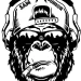 Contenido de streamer con enfoque social y de comunidad.